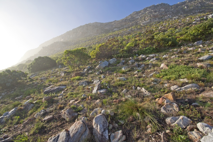 0 Bedroom Property for Sale in Misty Cliffs Western Cape